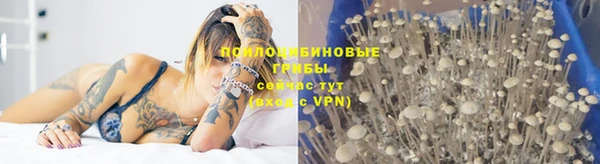 а пвп мука Абинск