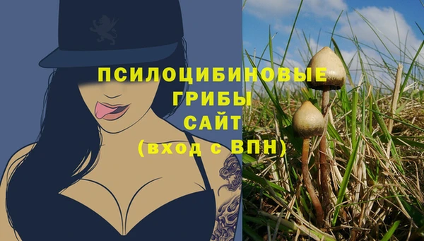 спайс Абаза