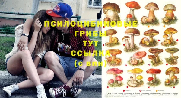 крисы Абдулино